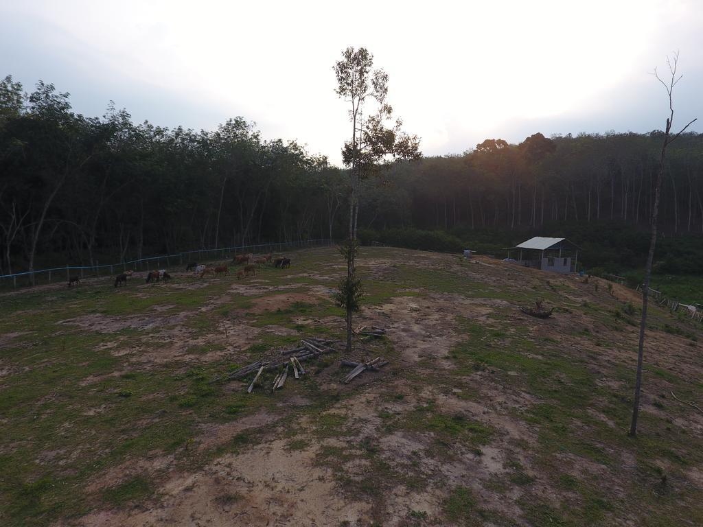 Chalet Kampong Semawar Kuala Kangsar Exterior foto